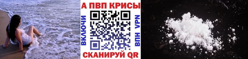 Альфа ПВП СК  Новокузнецк 