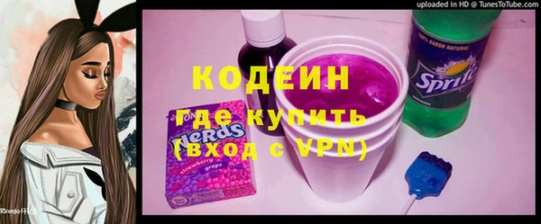 прущие грибы Богданович