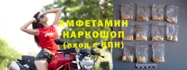 прущие грибы Богданович