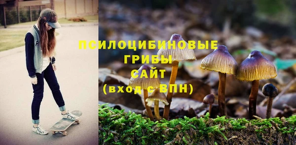 прущие грибы Богданович