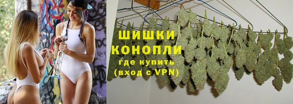 прущие грибы Богданович