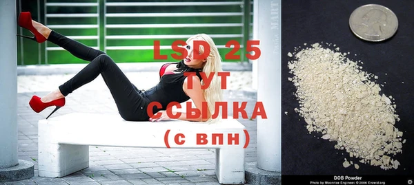 прущие грибы Богданович